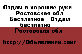 Отдам в хорошие руки  - Ростовская обл. Бесплатное » Отдам бесплатно   . Ростовская обл.